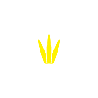 63621's emblem