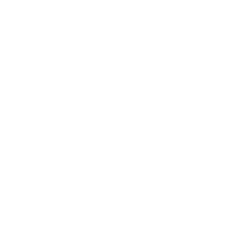 ViatBeats's emblem