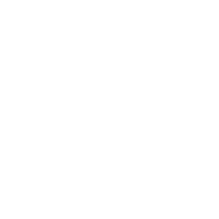 paulo1242's emblem
