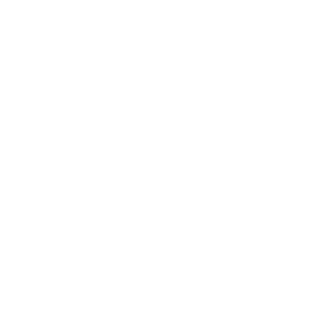leaser3's emblem