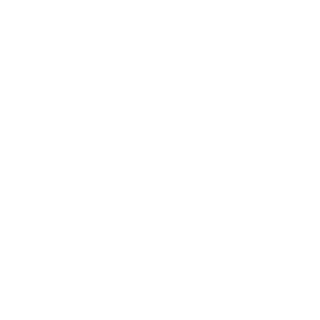 ServiakNine's emblem