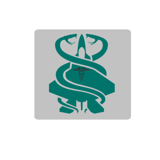 maksruskmu's emblem