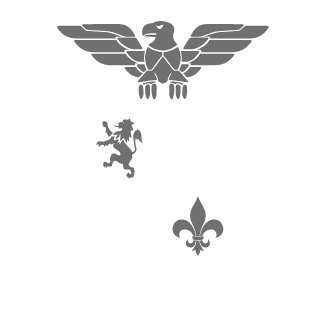 Echo571's emblem