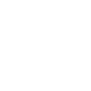 AlexGame1994's emblem