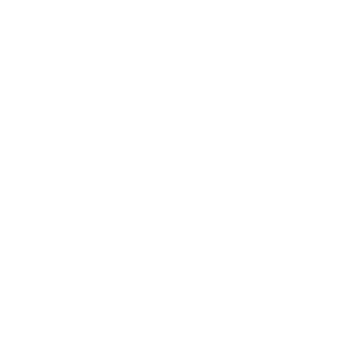 19PAREA99's emblem