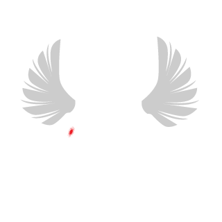 spaarb's emblem