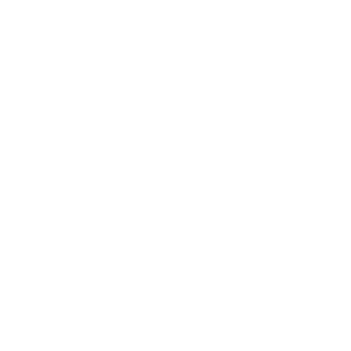 RodrigoRhino's emblem