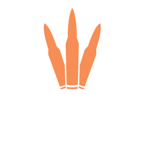 DeDa_Is-7's emblem
