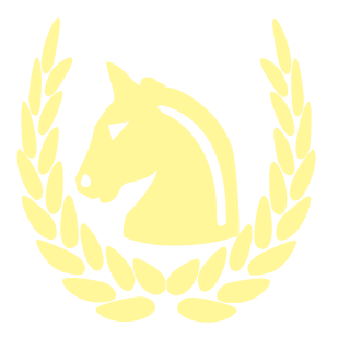 Stinvr6's emblem