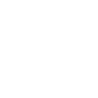 Pancerny2137's emblem