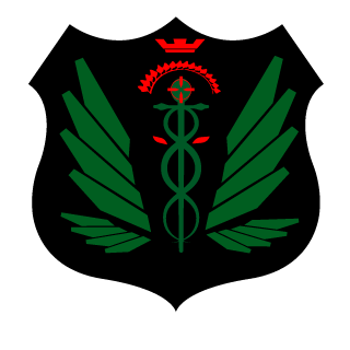 Bhodiii's emblem