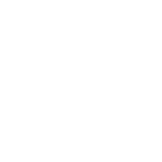 MACO919's emblem