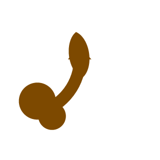 THECONQER's emblem