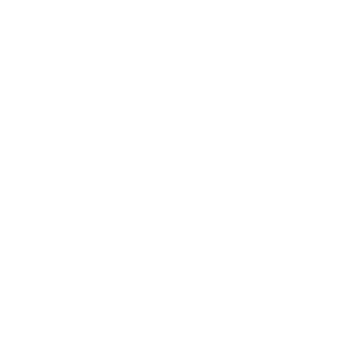 ApOst13's emblem