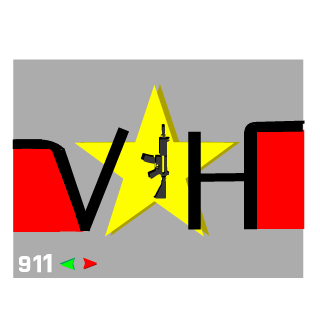 VIDELGRANDI2's emblem