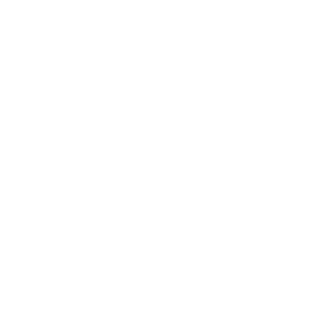 shadowfax4263's emblem