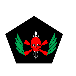 Spelarnaken18's emblem