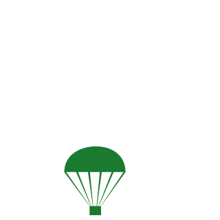 terminator32161's emblem