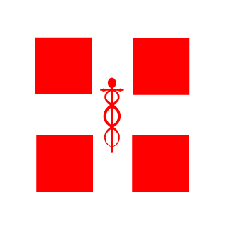 slashsteel1's emblem