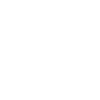 HeSiNi_2016's emblem