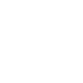 AMME29's emblem