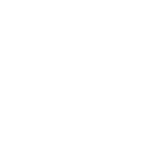 AnotherAA's emblem