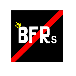 BFNAZA's emblem