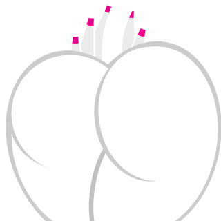 CuteCookieWolfie's emblem