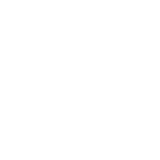 brgddk's emblem