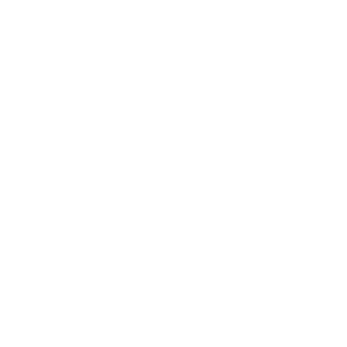 SashaFansy's emblem