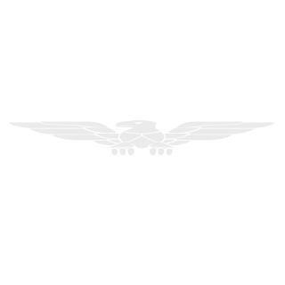 iGu3RRiLLa's emblem
