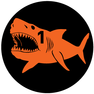 KaNDaR11's emblem