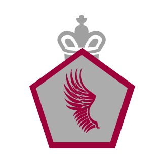 latieneelBarrio's emblem