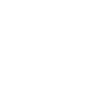 Plunder666's emblem