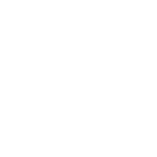 vb_pilar's emblem