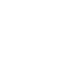 TW_Anarchy_momo's emblem