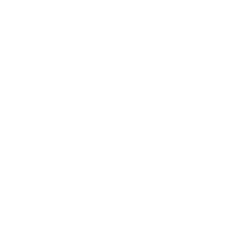 25Froes's emblem
