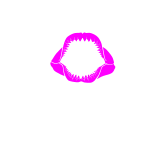 540518818qq's emblem