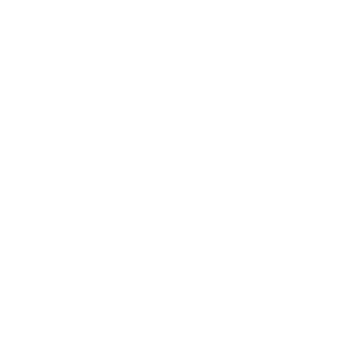 Destroyer110121's emblem