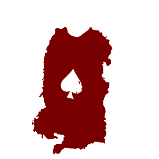 papi_void's emblem