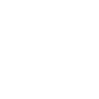 I-Dracco-I's emblem
