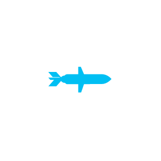 Baby__Llama19's emblem