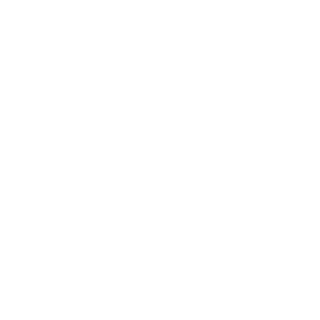 SrRobozin's emblem