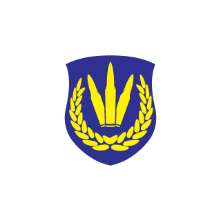 RacoonPlay_UA's emblem
