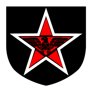 DarkStar24z's emblem