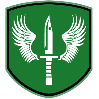 10th Special Forces's emblem
