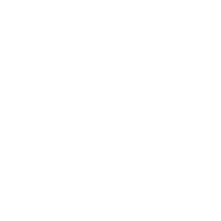 lhq2010's emblem
