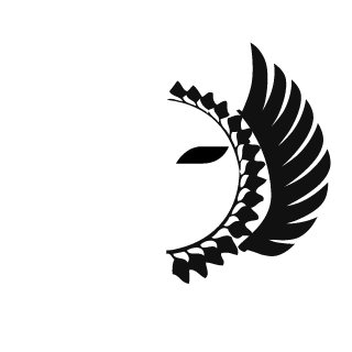 DarkPatrickxd's emblem
