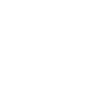 bruno_brgd's emblem