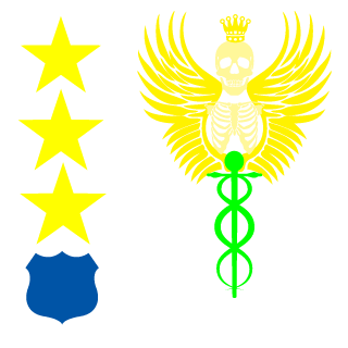 DucksPursuit's emblem